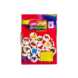 بازی آموزشی هوش چین مجموعه ۴ تکه برای کودکان ۳ تا ۵ سال
